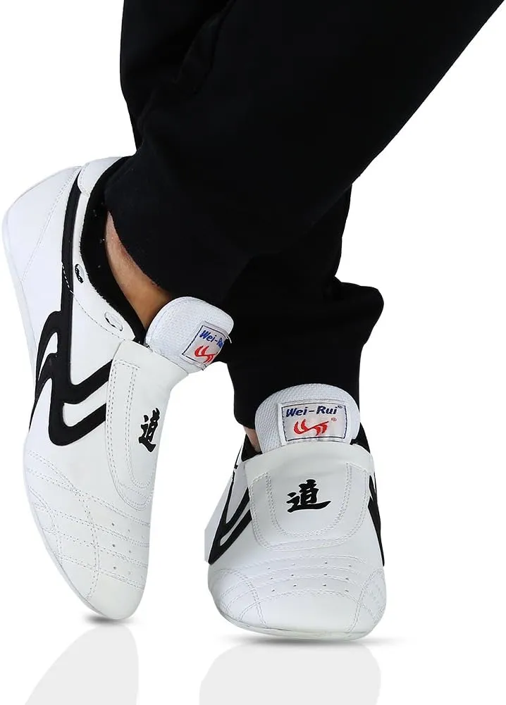 Alomejor Taekwondo Shoes Taekwondo Boxing Karate Training Shoes Taichi Kong Fu Shoes for Kung Fu Taichi Taekwondo Boxing Karate