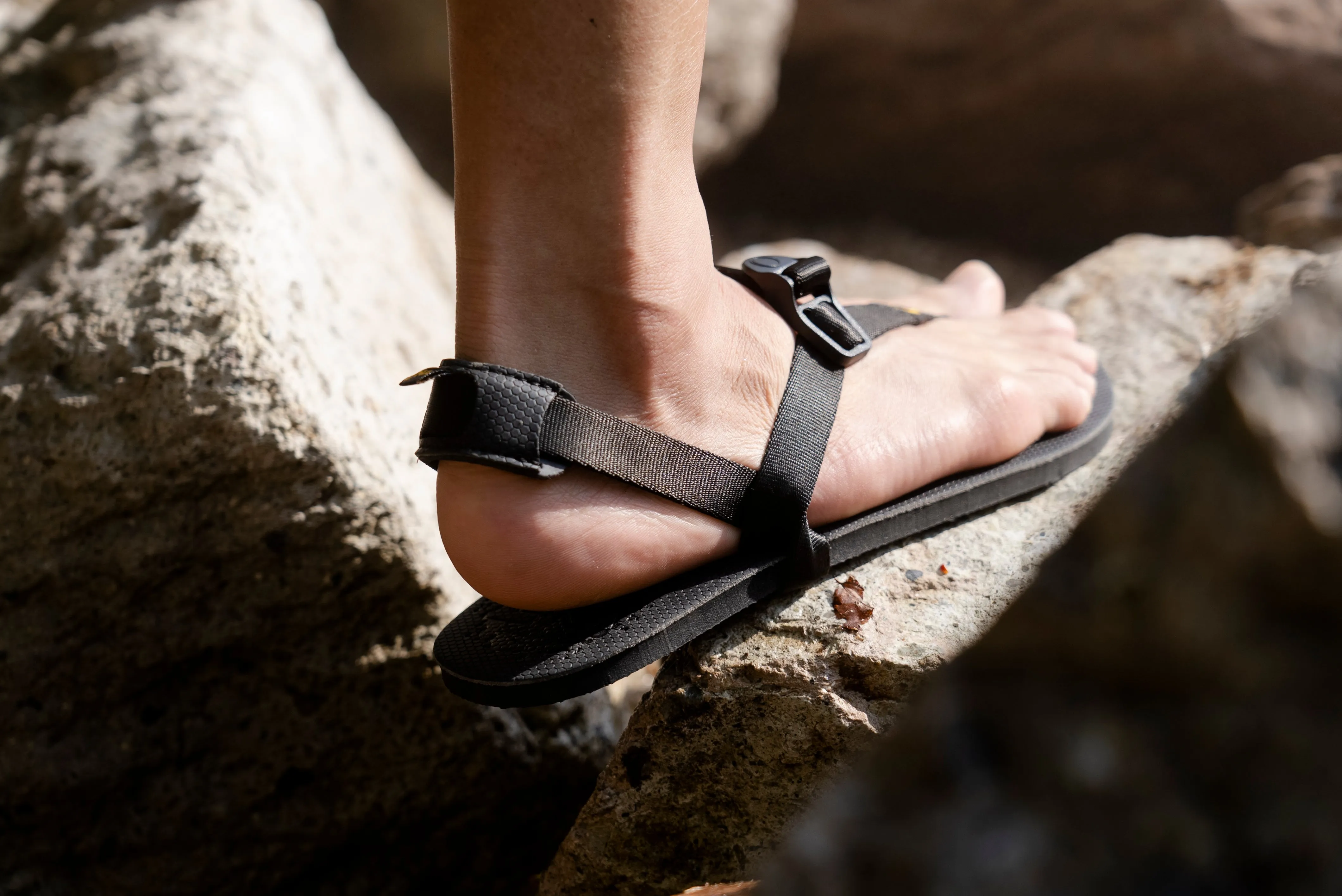 Venado 2.0 (Unisex)